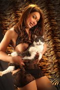 Foto Alessa Venezuelana Annunci Video Escort Verbania 3533541305 - 34
