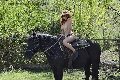 Foto Karyna Annunci Video Escort Chiavari 3342341880 - 29