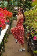 Foto Solfi Annunci Video Escort Ravenna 3884682252 - 6