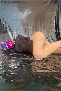 Foto Tiny Mouse Annunci Video Escort Venezia 3284690312 - 16